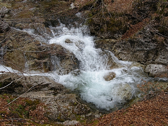 Escursione Parco Nazionale d''Abruzzo